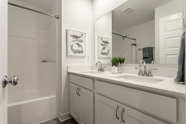 Images Meridian Homes at Sycamore Drive | Brand New Homes for Rent