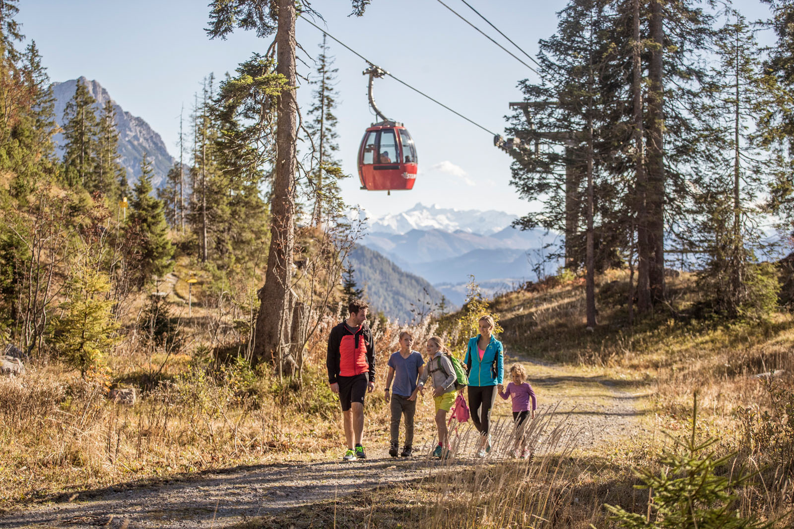 Bild 20 von Bergbahnen Steinplatte Waidring/Triassic Park