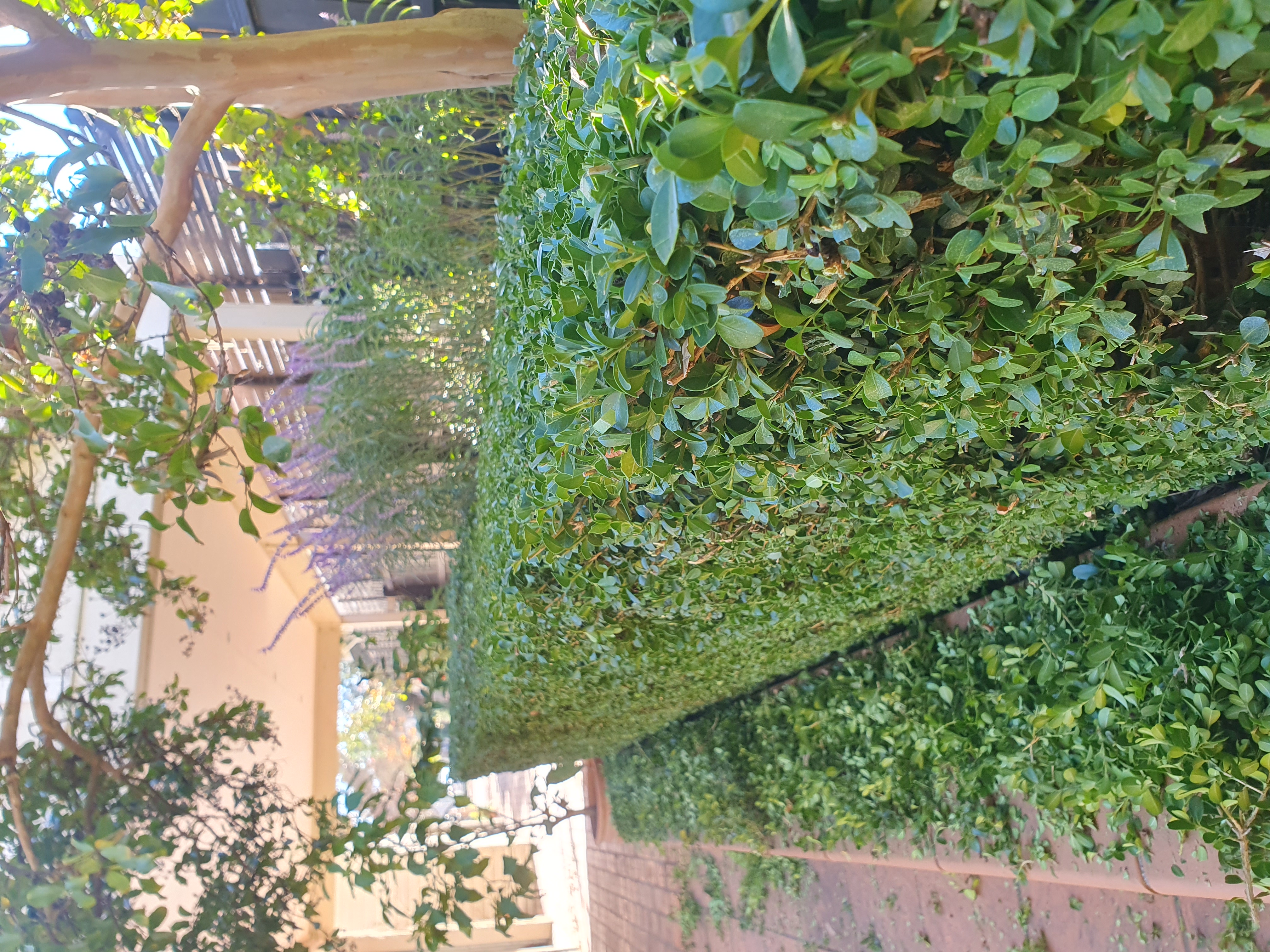 Images Dale's Property Maintenance (DPM)