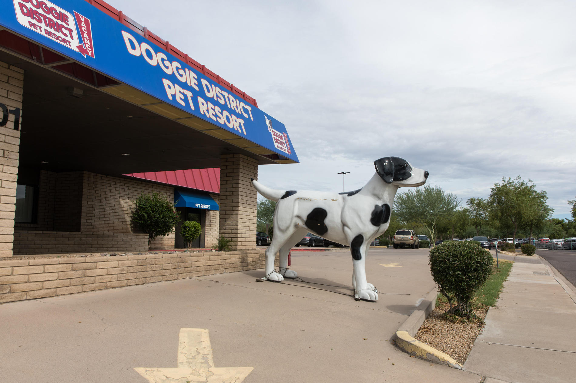 Doggie District - Paradise Valley Doggie District - Paradise Valley