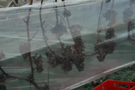 Simon Klaus, Schloßbergstr. 1 A in Alzenau