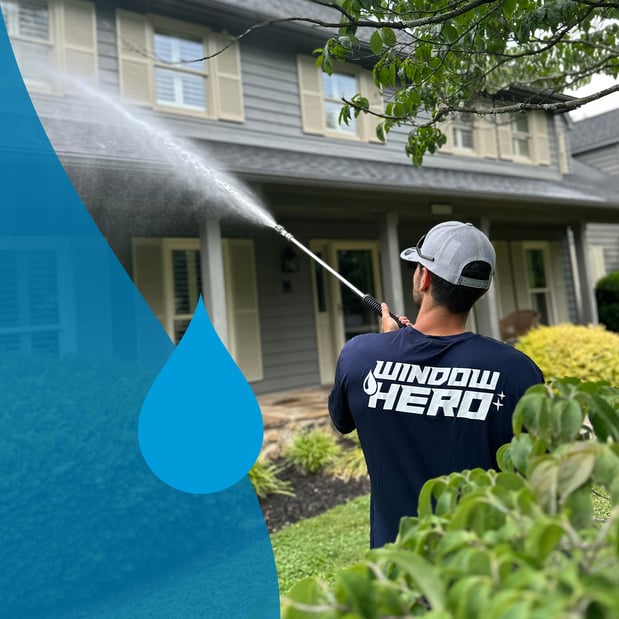 Images Window Hero Raleigh