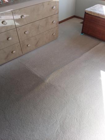 Images Performance Carpet Cleaners