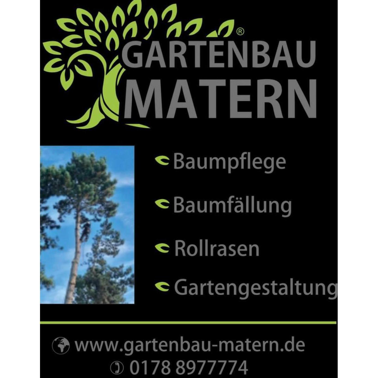 Baumdienst Baumfällung Gartengestaltung-Gartenservice-Baumpflege in Hackenheim - Logo