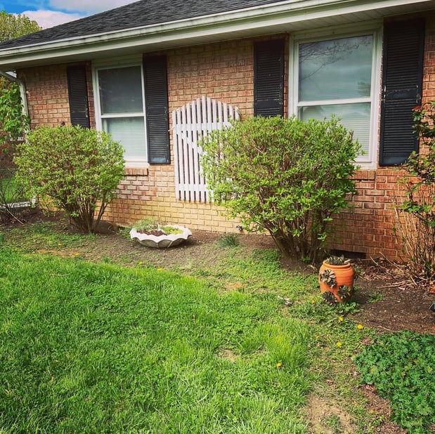 Images Barr Landscaping