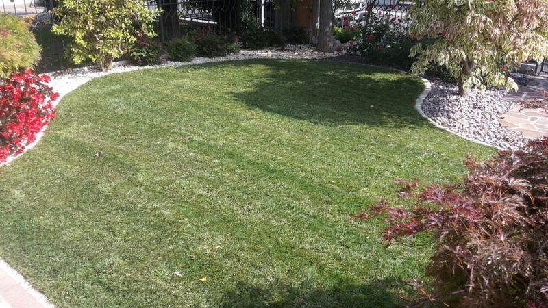 Images Idea Verde di Pettenuzzo Stefano