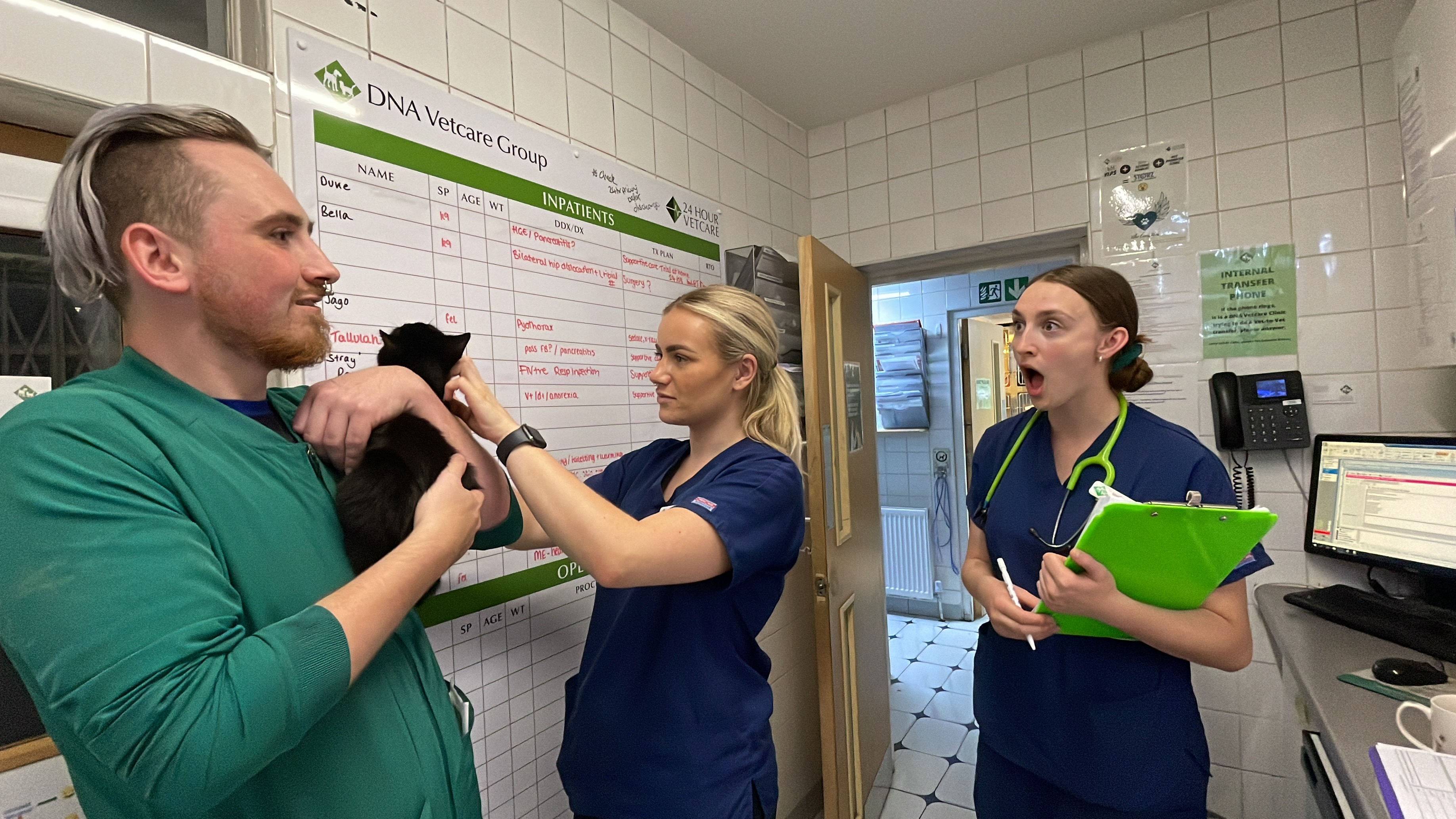 Images Streatham Hill Veterinary Surgery