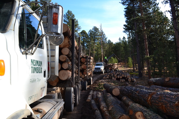 Images Altergott Forestry, LLC