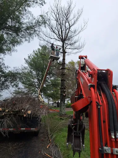 Images Cut Rite Services, LLC.