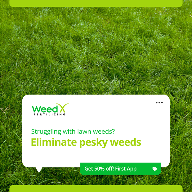 Images WeedX Fertilizing