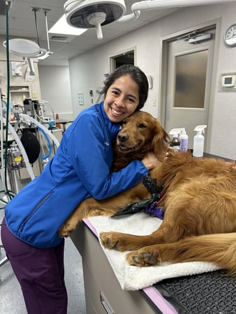 Images VCA Smoketown Animal Hospital