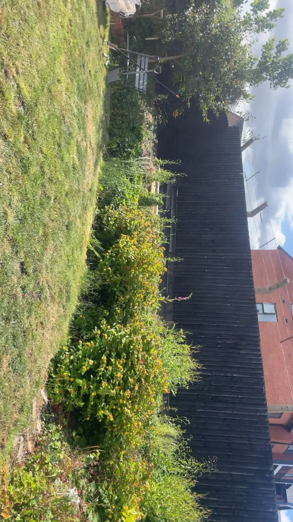 Images Oakwood Tree & Landscaping Services