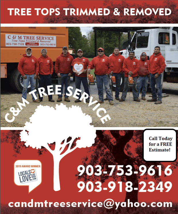 Images C & M Tree Service