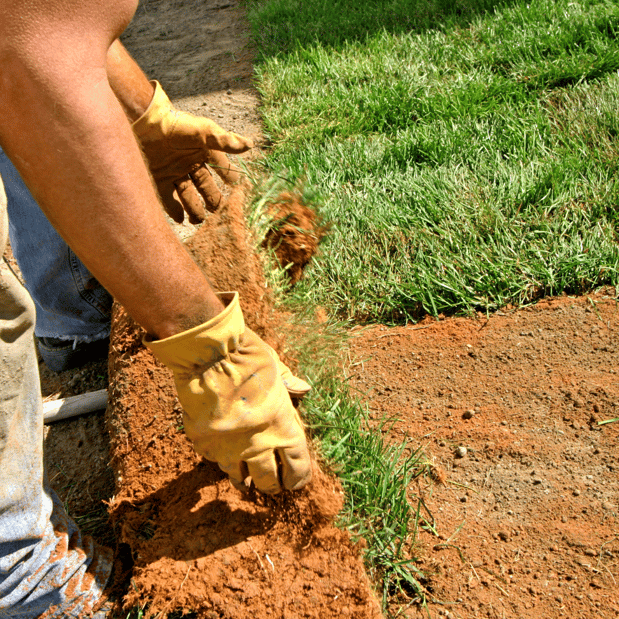 Images Lopez Tree Services and Landscaping