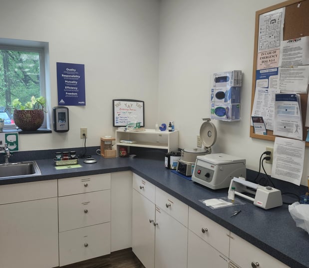 Images VCA AVH Animal Hospital