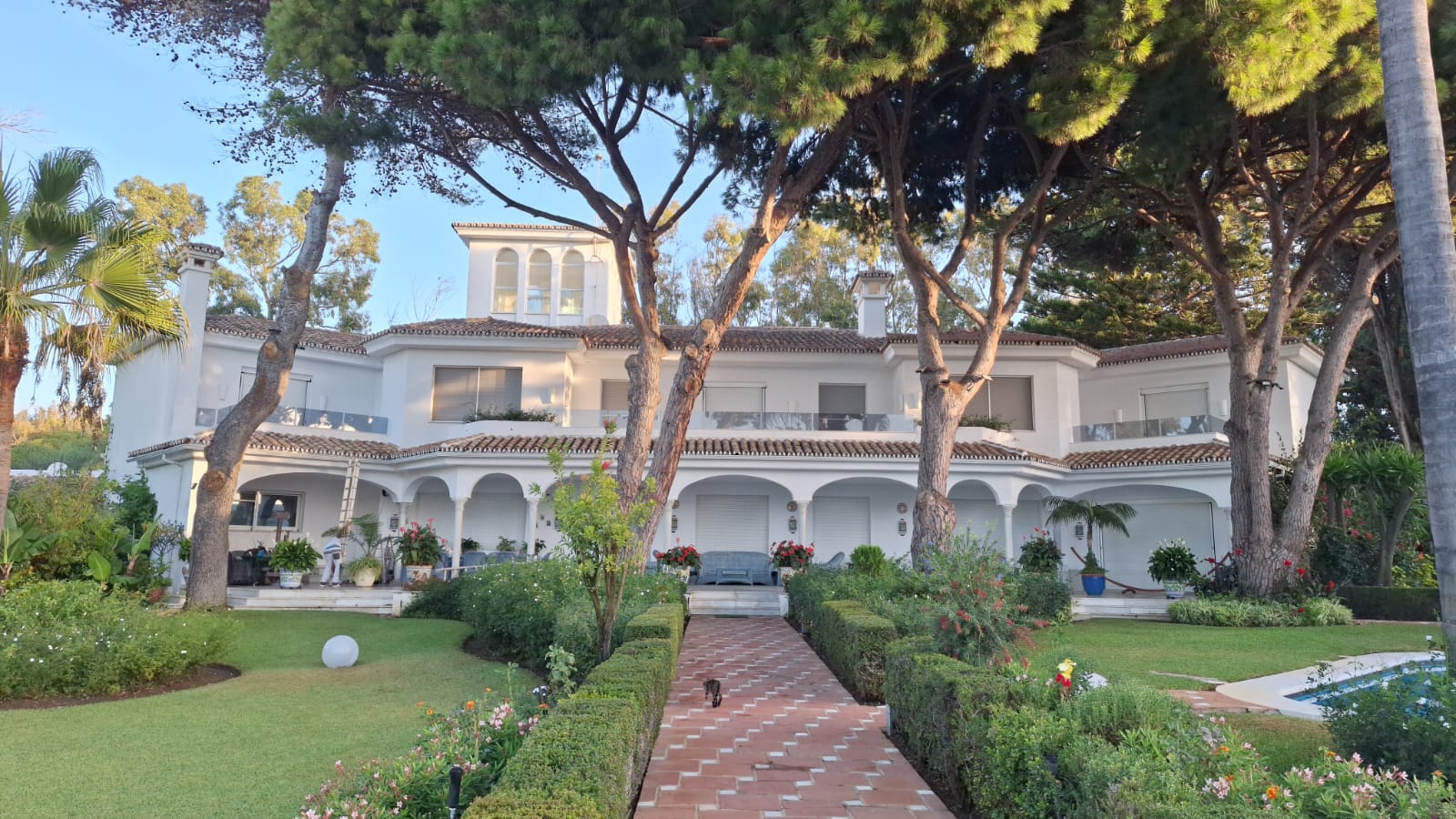 Images Rs Pintura en General