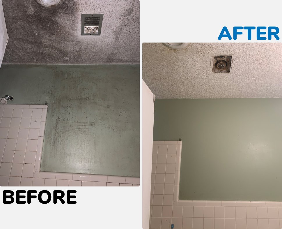 Before and After Remediation