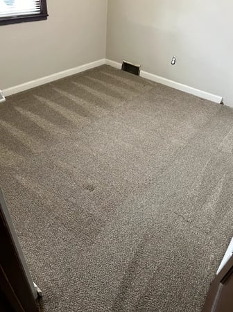 Images Aqua Green Carpet Clean LLC