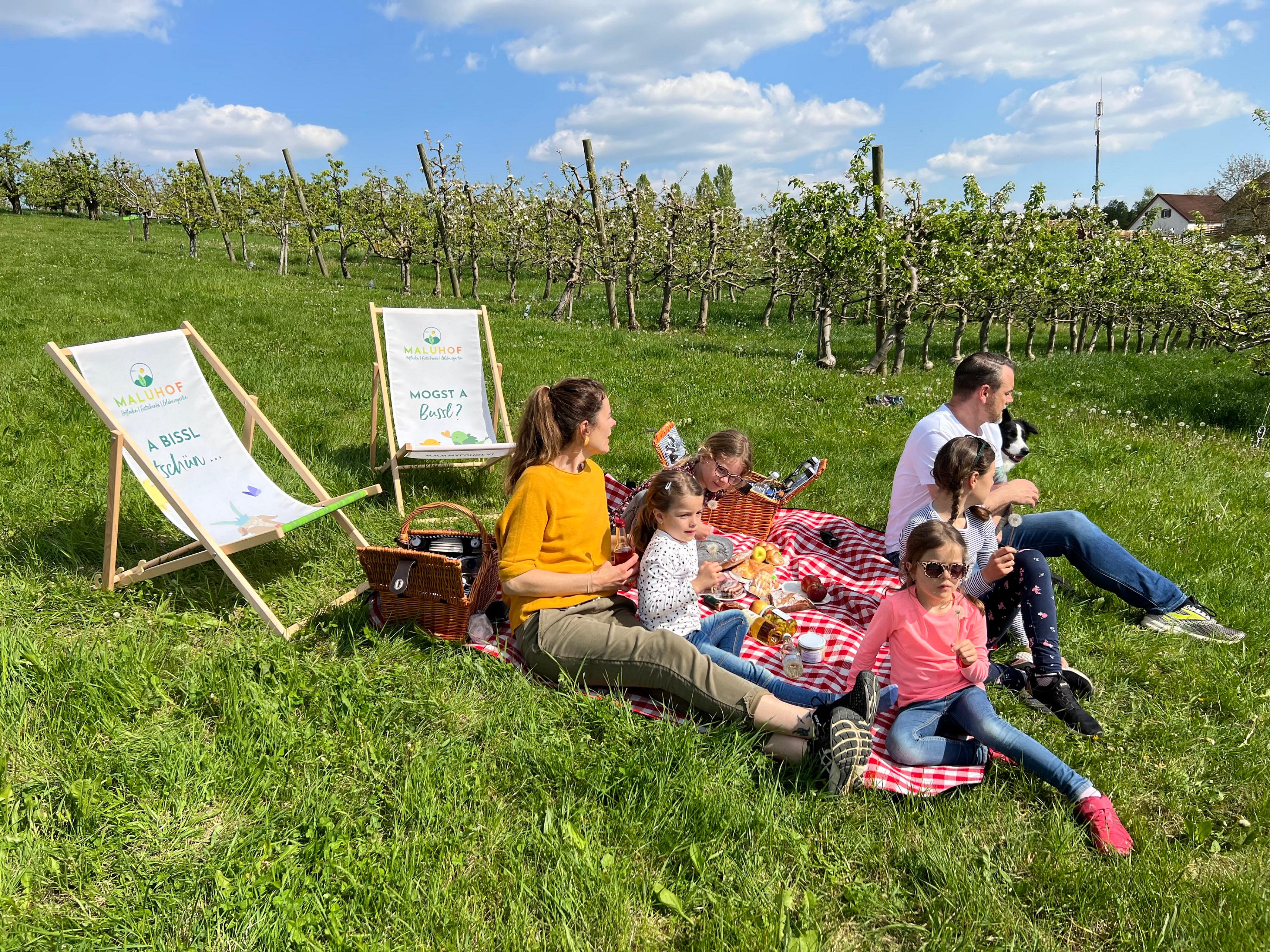 Bild 6 von Maluhof - Hofladen, Festschenke, Erlebnisgarten