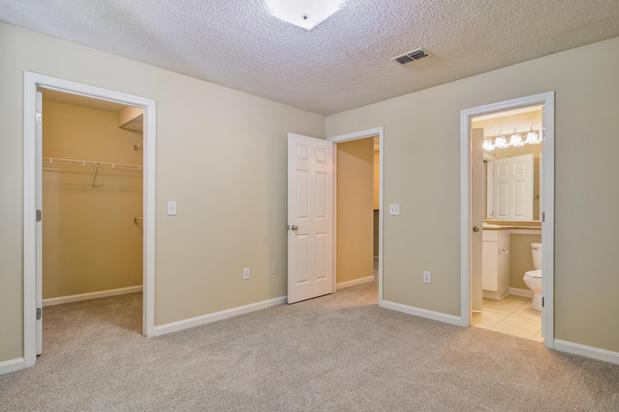 Images Beechwood Pines