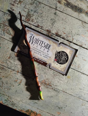 Images Chattanooga Trolley Tour