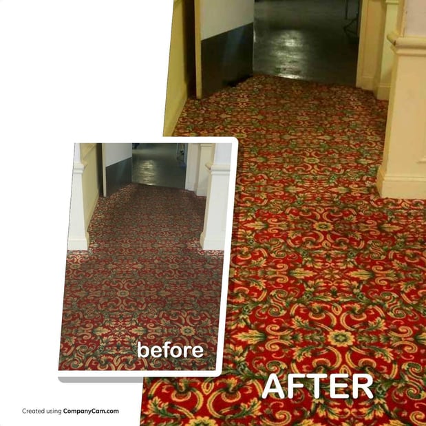 Images My Carpet Cleaning & Restoration Service