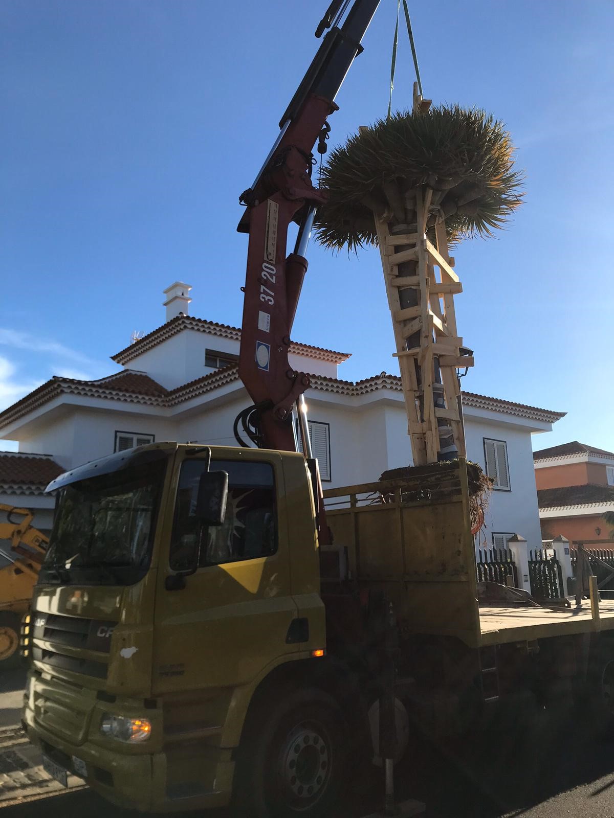 Images Transportes y Grúas Sisi