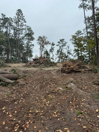 Images Magana Tree Service