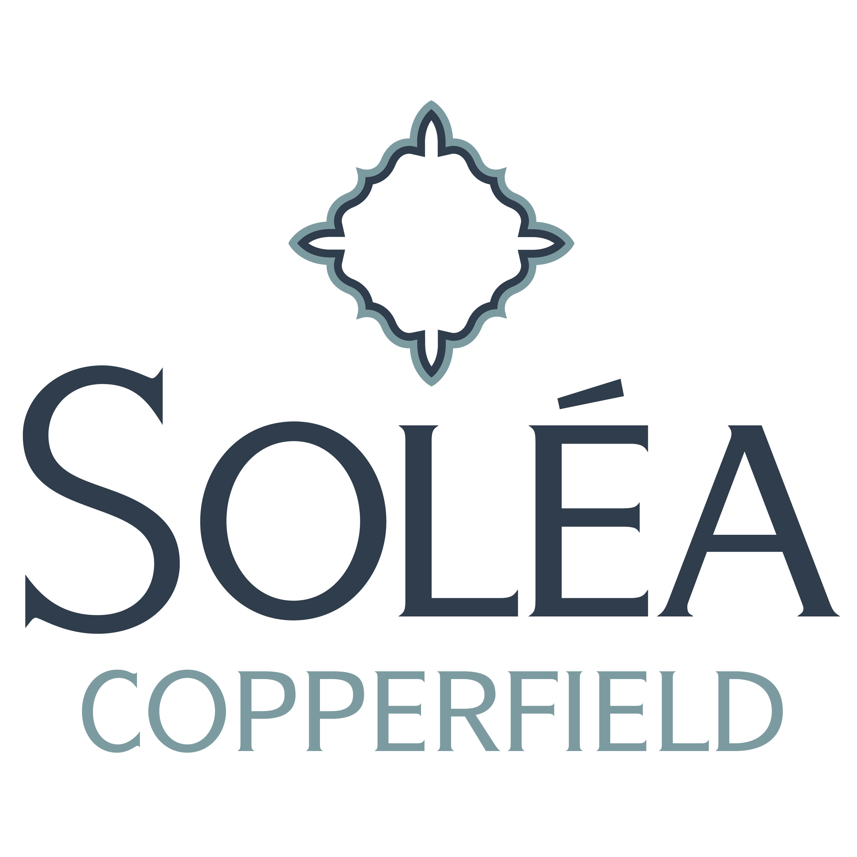 Solea Copperfield Logo