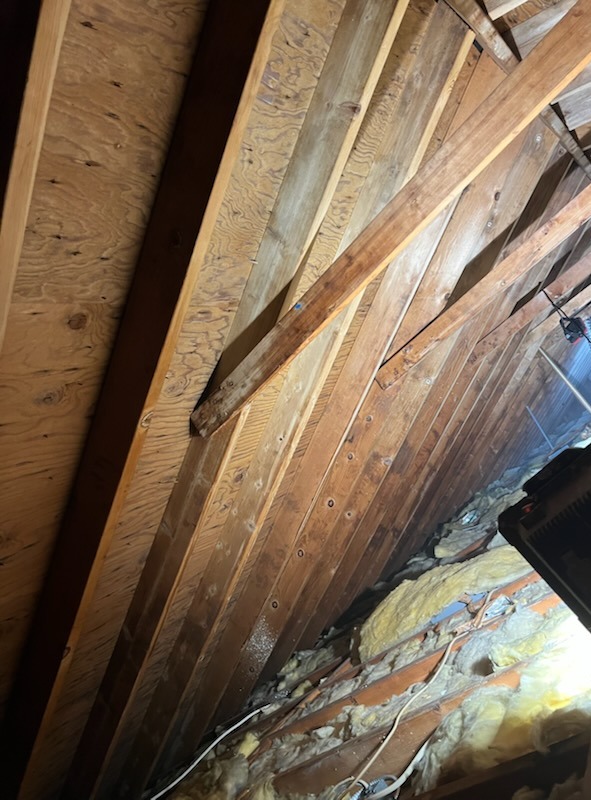 Images Quality Mold Remediation LLC