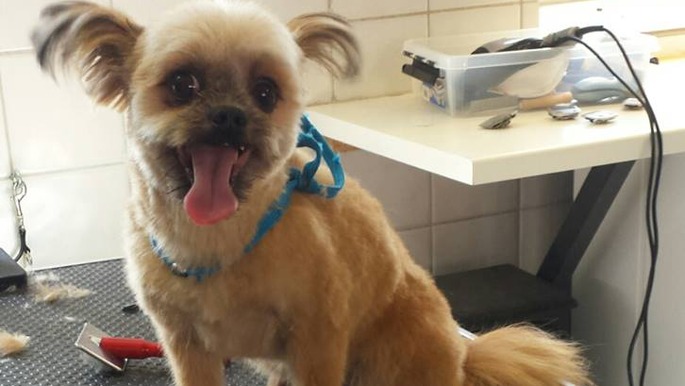 Images 4 Tassarnas Trim AB