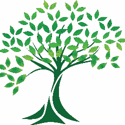 Caliendofer Logo