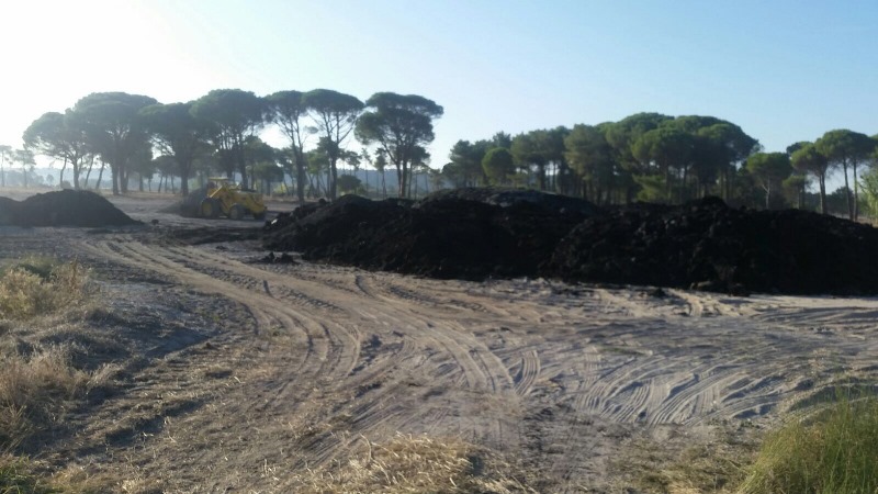 Images Turbas Del Prado