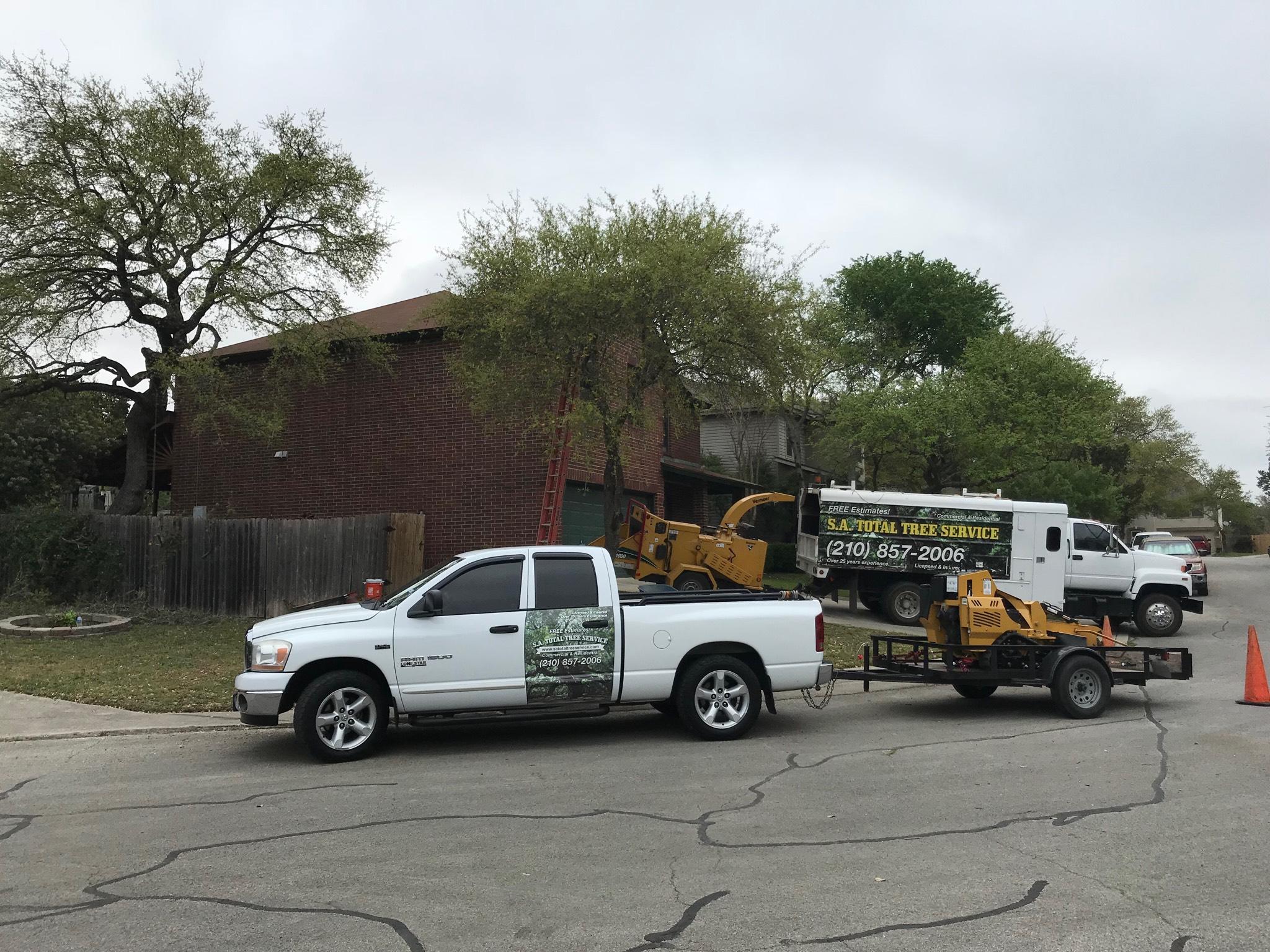 SA Total Tree Service Photo