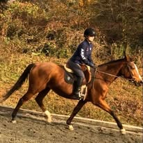 Center Peace Farm Image