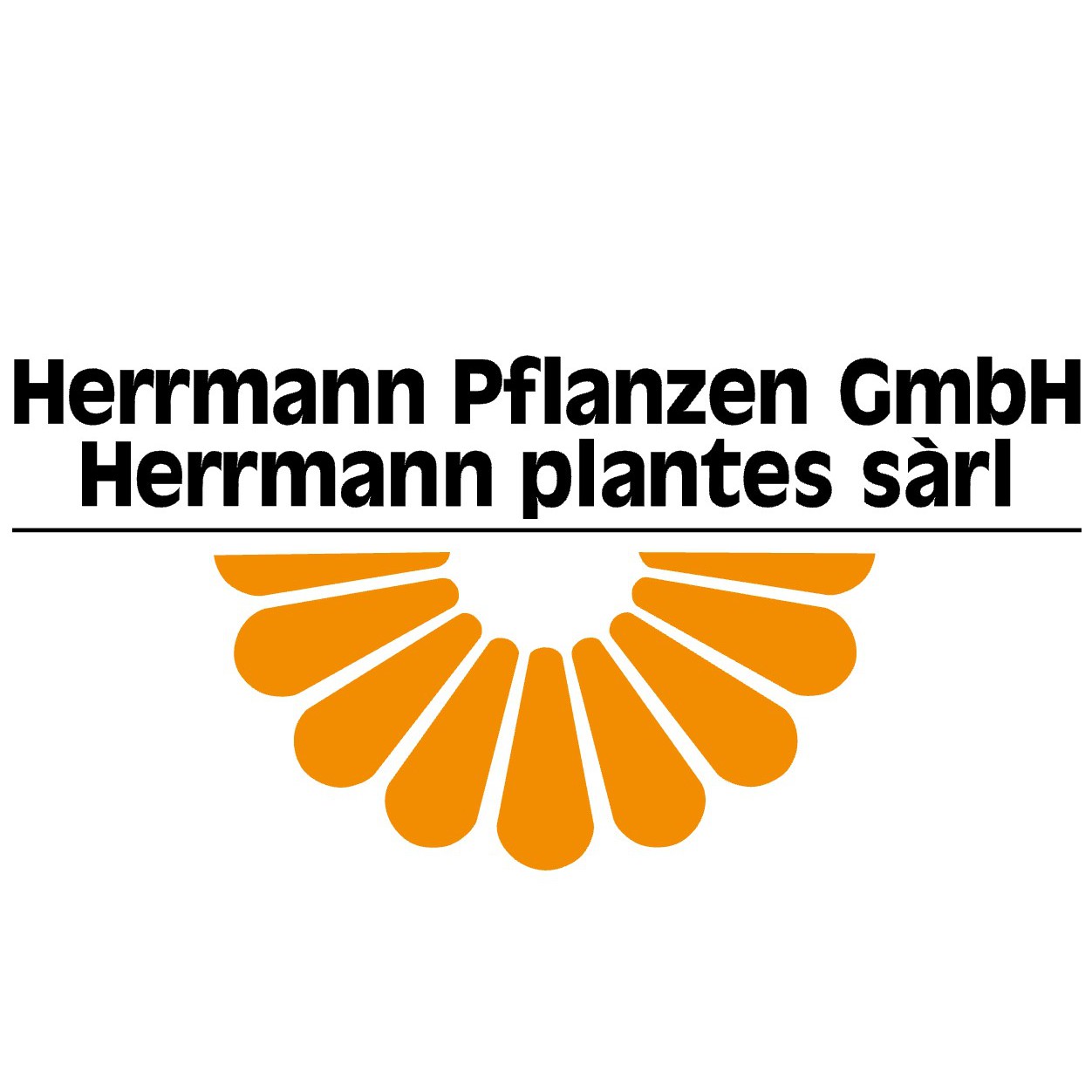 Herrmann Pflanzen GmbH Logo