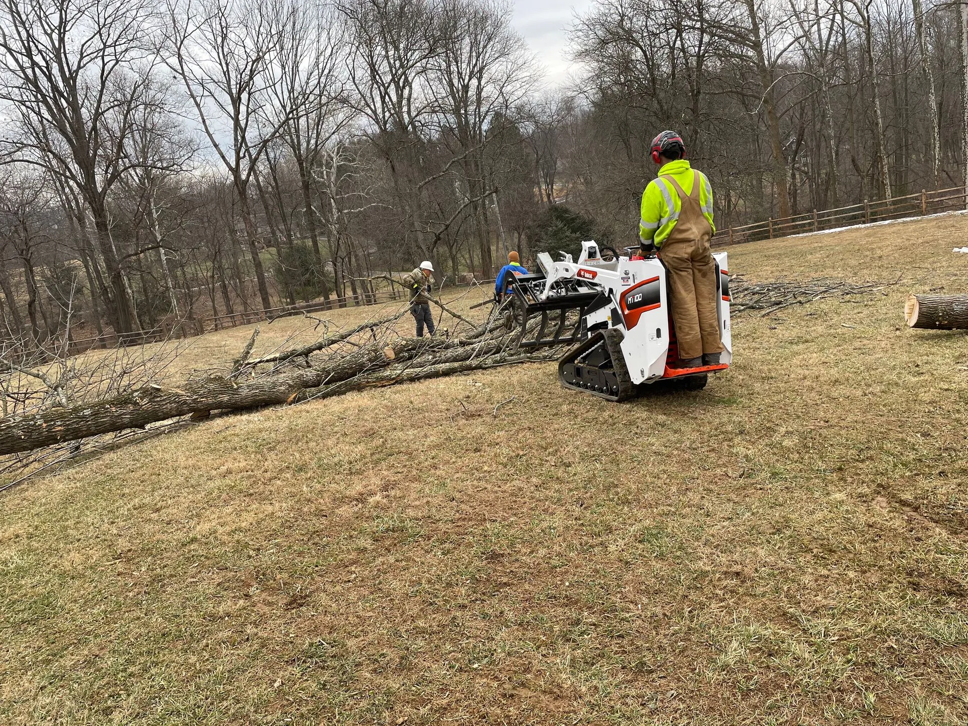 Malvern Tree Service Image