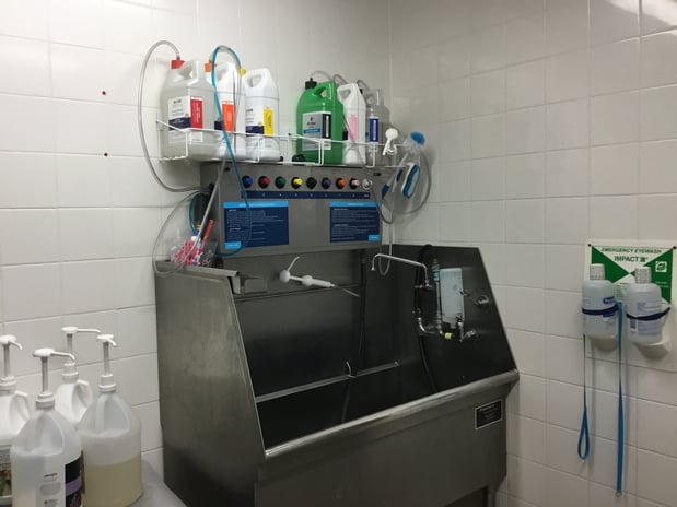 Images Petco Grooming