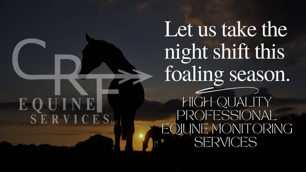 Images CRF Remote Equine Monitoring