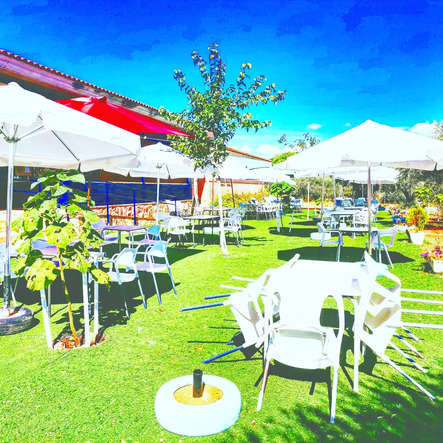 Images Camping La Tabla de la Yedra- Campamento Albergue La Tabla de la Yedra - Restaurante Terraza La Tabla de la Yedra