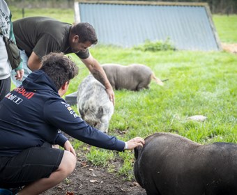 Images Røllum Gl Skole