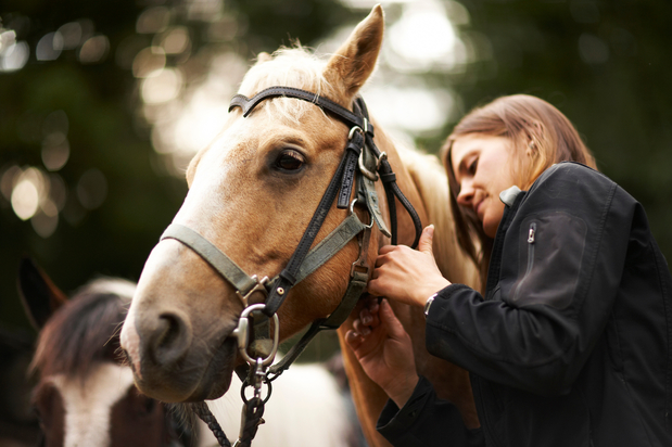 Images Pets Galore Horse Rides