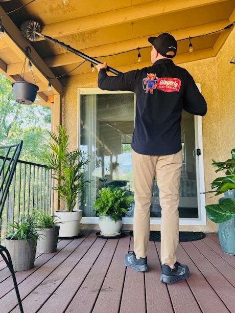 Images Gingerly Pest Control