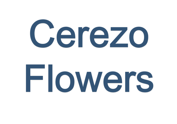 Images Cerezo Flowers
