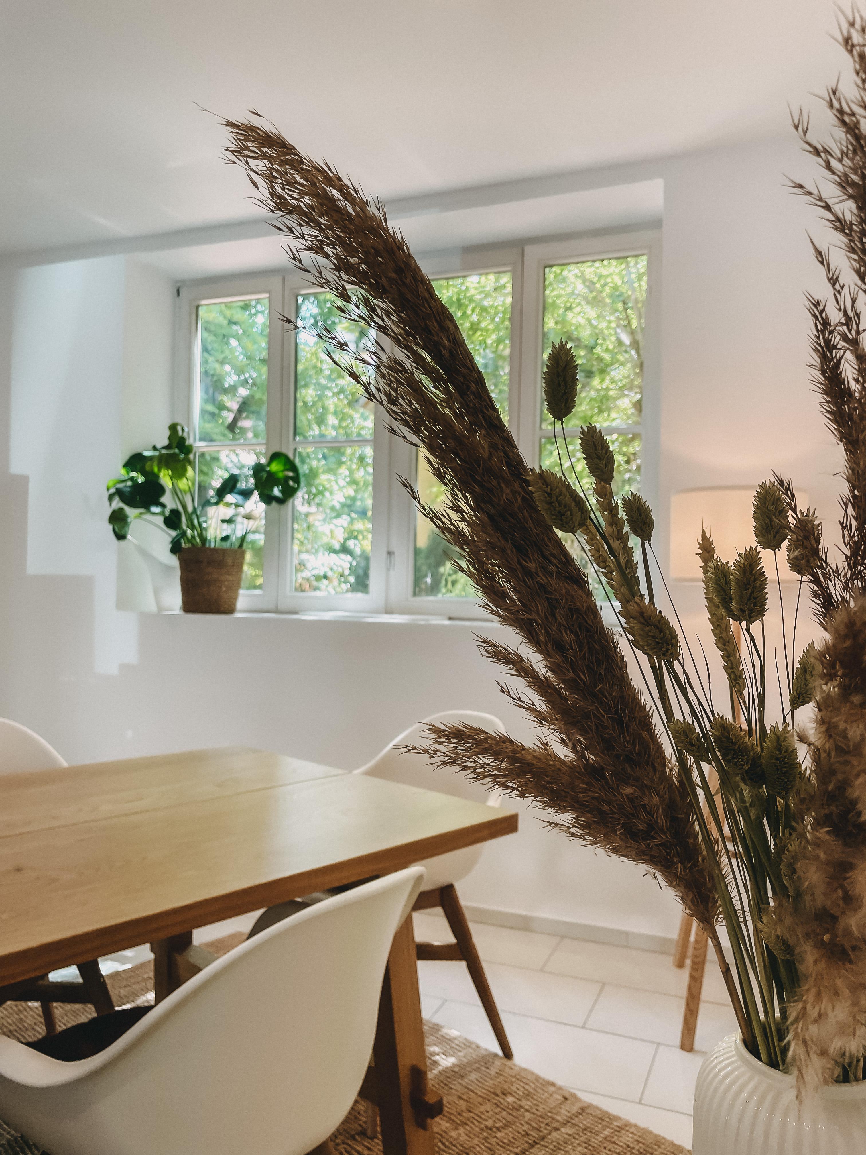 Mahalo Bestattungen - Hannover, Am Marstall 19 in Hannover