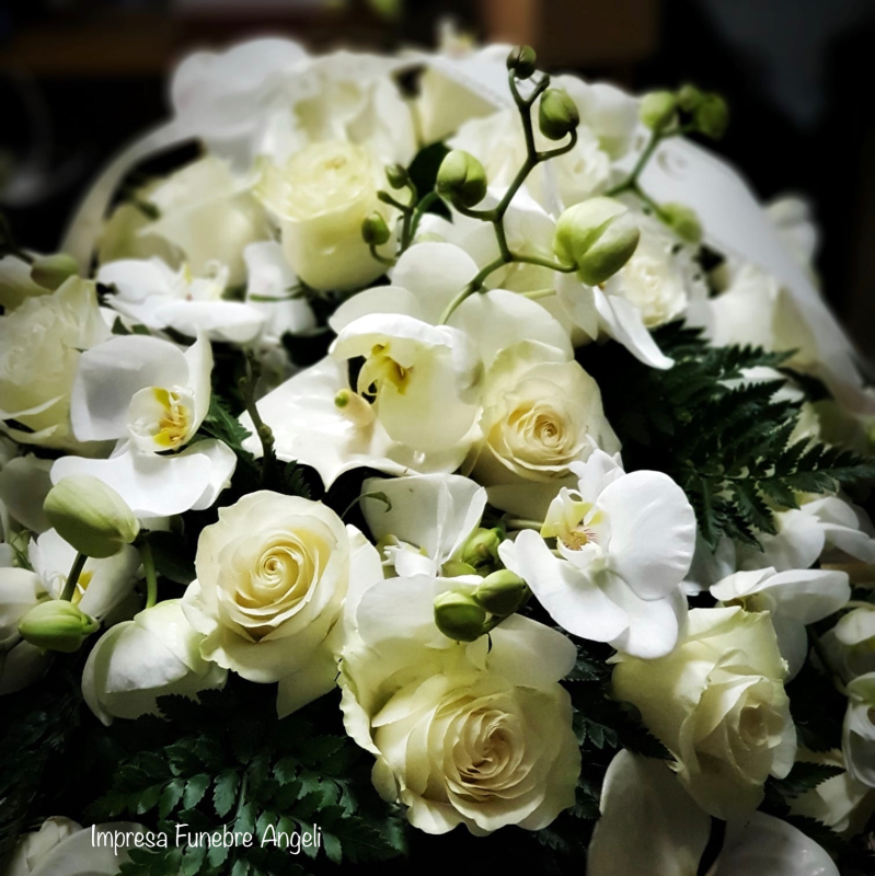 Images Pompe Funebri Angeli