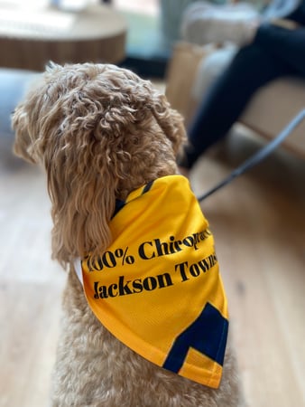 Images 100% Chiropractic - Jackson Township