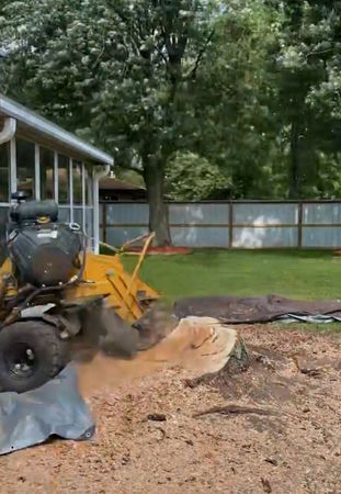 Images Indiana Stump Remover