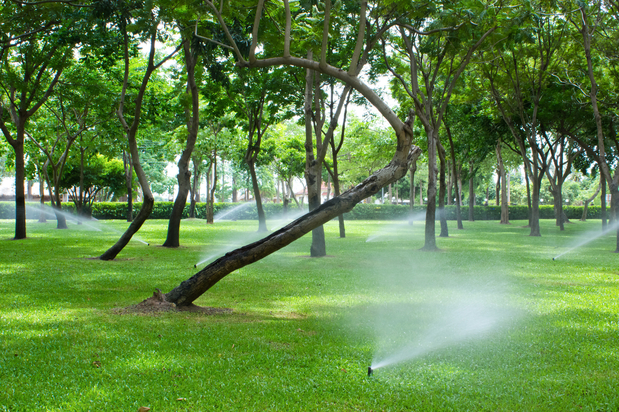 Images Homestead Lawn Sprinklers Co Inc