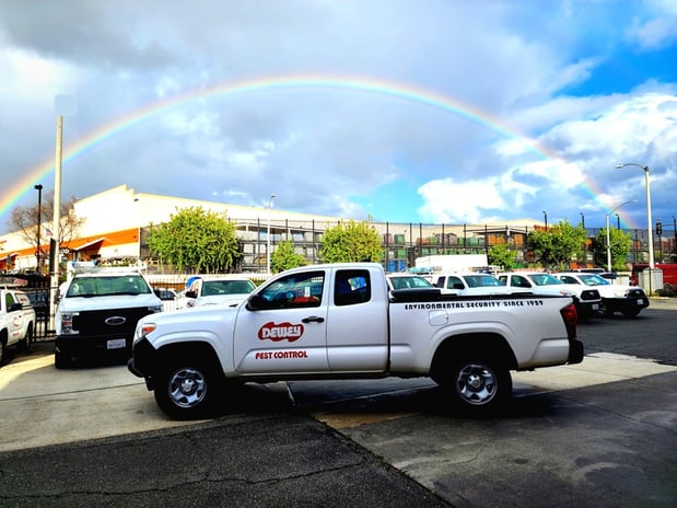 Images Dewey Pest & Termite Control